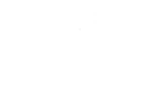 logo anve bianco