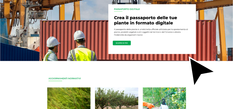 quali sono i punti di forza di phytoweb