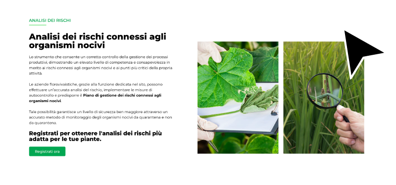 il ruolo di Phytoweb